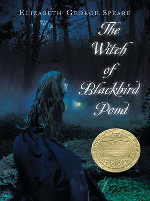 cover image of The Witch of Blackbird Pond